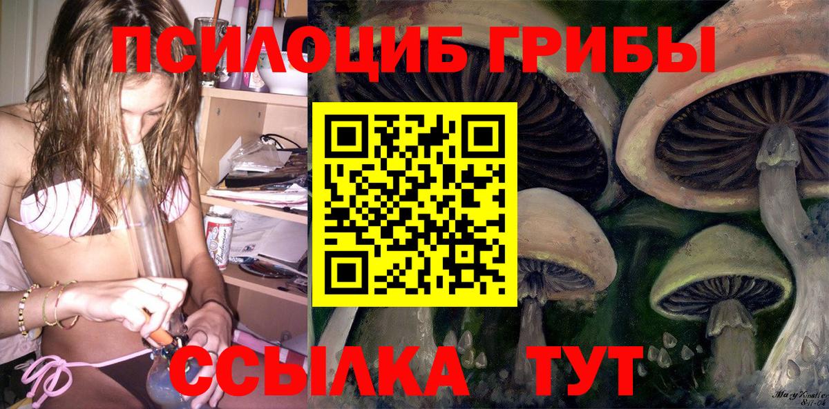 Галлюциногенные грибы Psilocybine cubensis Мариинск