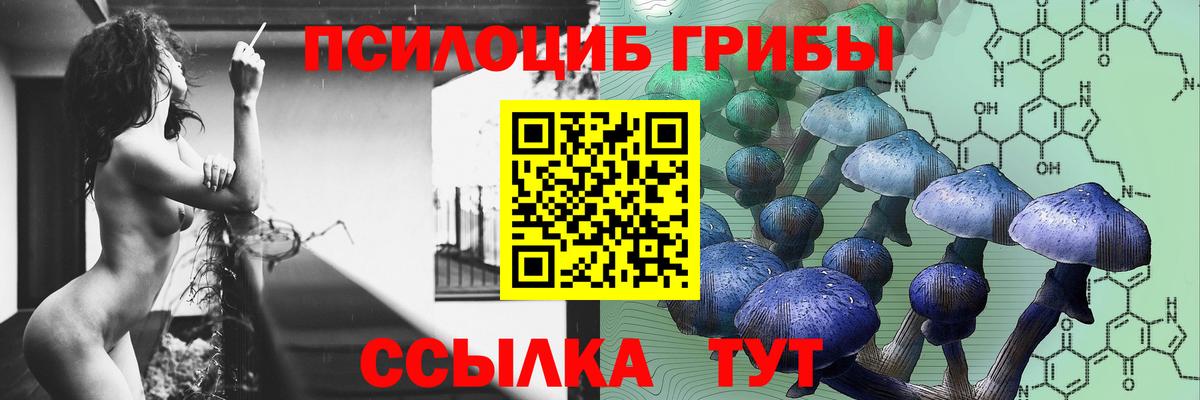 Псилоцибиновые грибы прущие грибы  Вход с VPN  Мариинск 